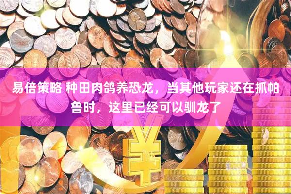 易倍策略 种田肉鸽养恐龙，当其他玩家还在抓帕鲁时，这里已经可以驯龙了