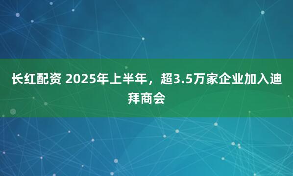 长红配资 2025年上半年，超3.5万家企业加入迪拜商会