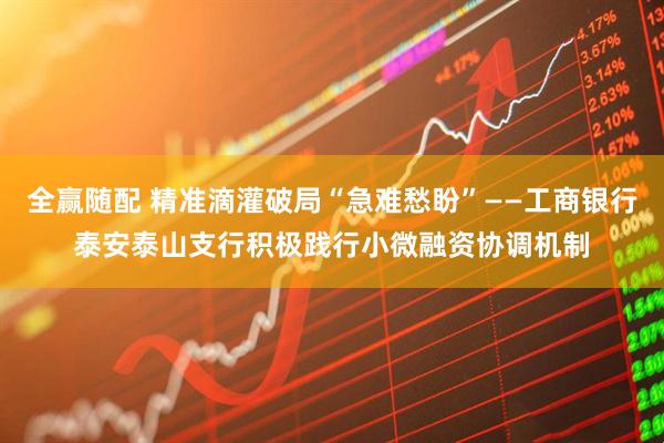 全赢随配 精准滴灌破局“急难愁盼”——工商银行泰安泰山支行积极践行小微融资协调机制
